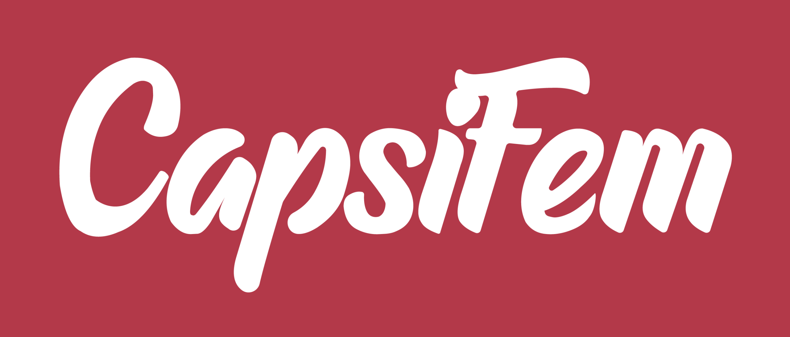 logo capsifem 02